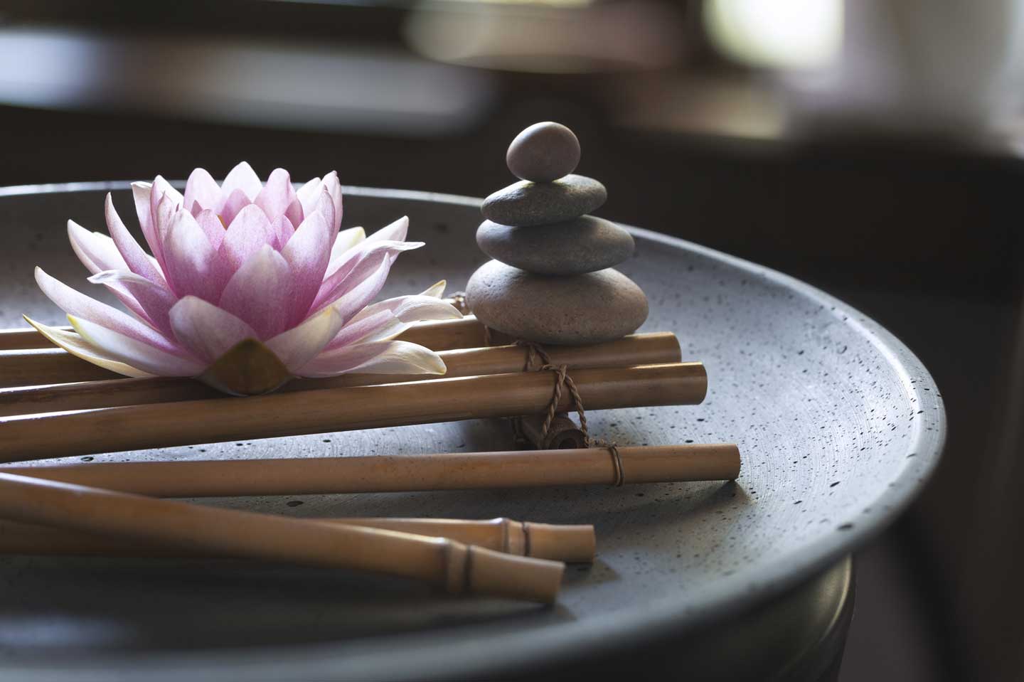 Wellbeing Day – The Forum – 3rd February