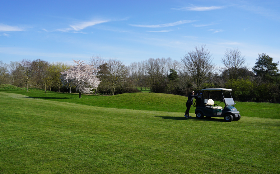 Golf buggy on golf green