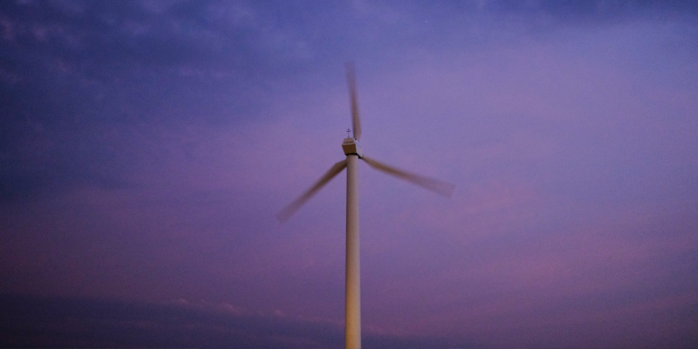 Energy Market Update: August