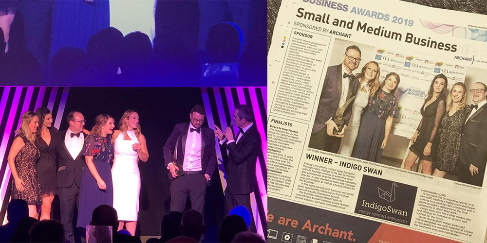 Newspaper article and swans on stage