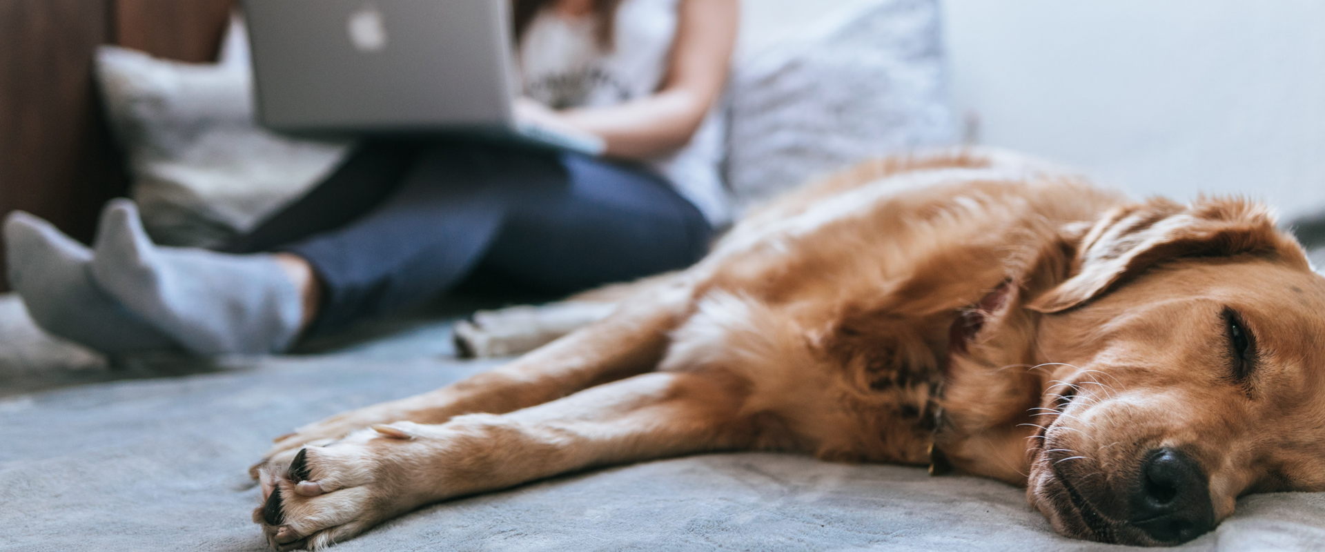 Our Working From Home Tip and Tricks