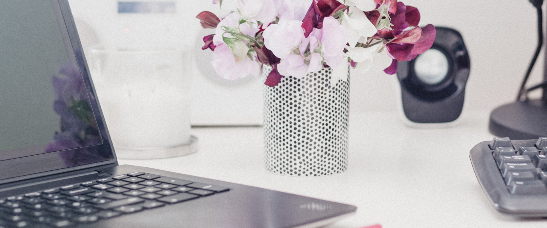 Spring Clean Your Business