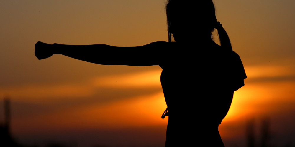 Confessions of a karateka