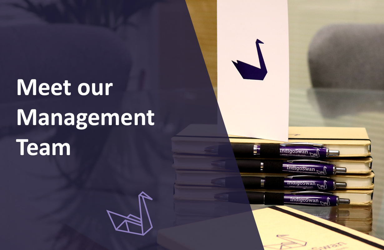 Meet the Management Team