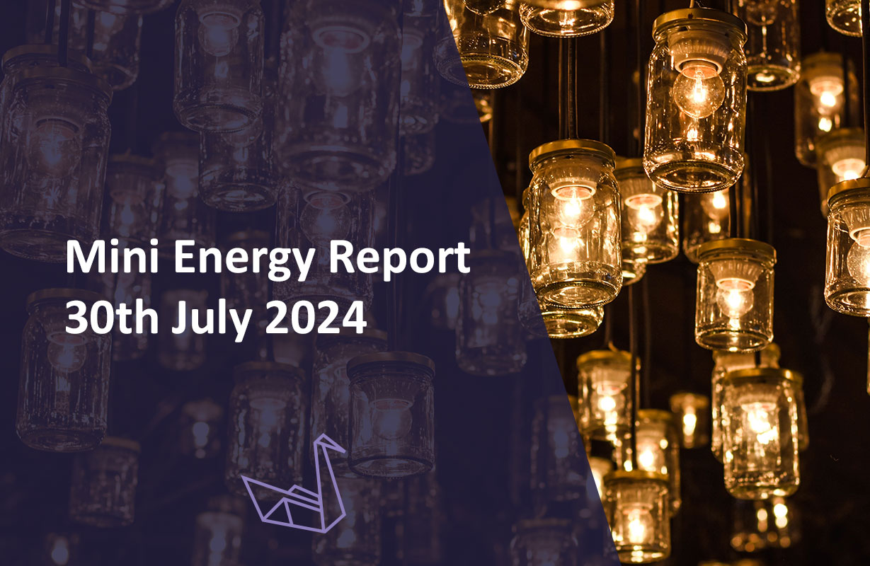 Mini Energy Report 30th July 2024