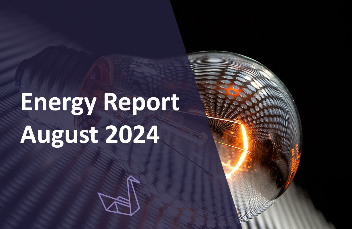 Energy Report August 2024