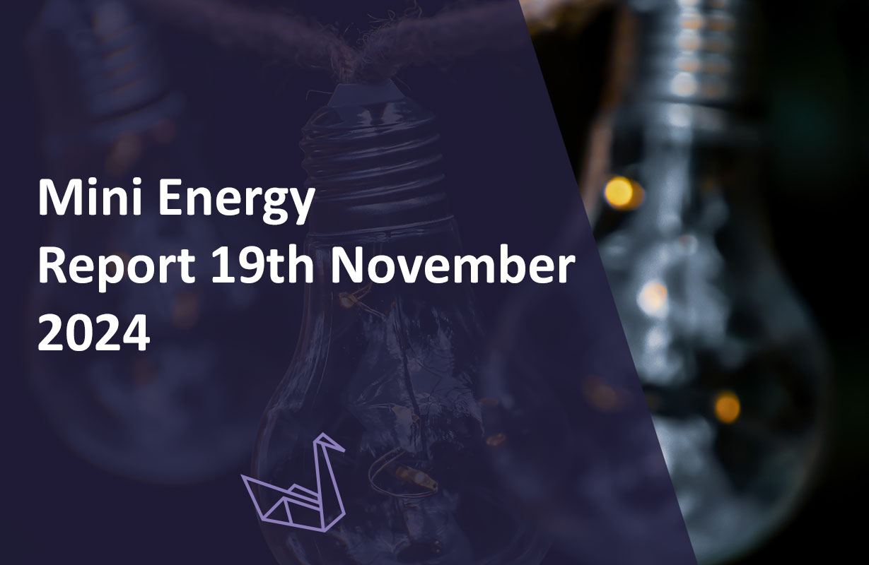 Mini Energy Report 19th November 2024