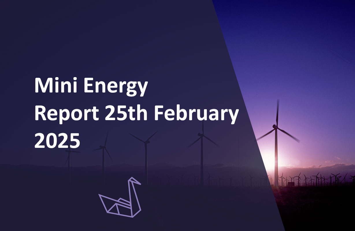 Mini Energy Report 25th February 2025