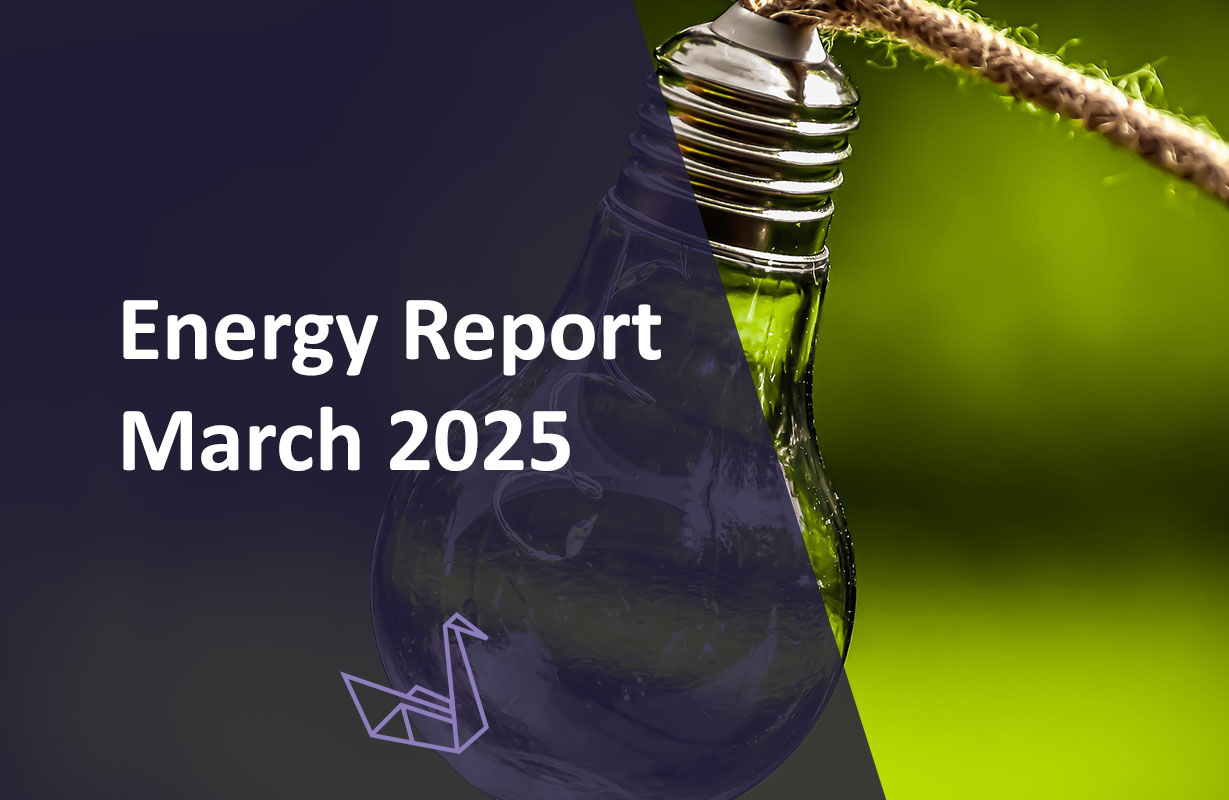 Energy Report March 2025