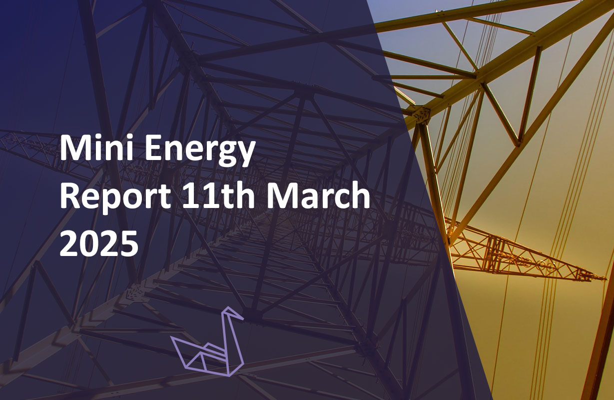 Mini Energy Report 11th March 2025