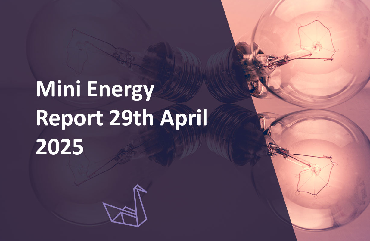 Mini Energy Report 29th April 2025