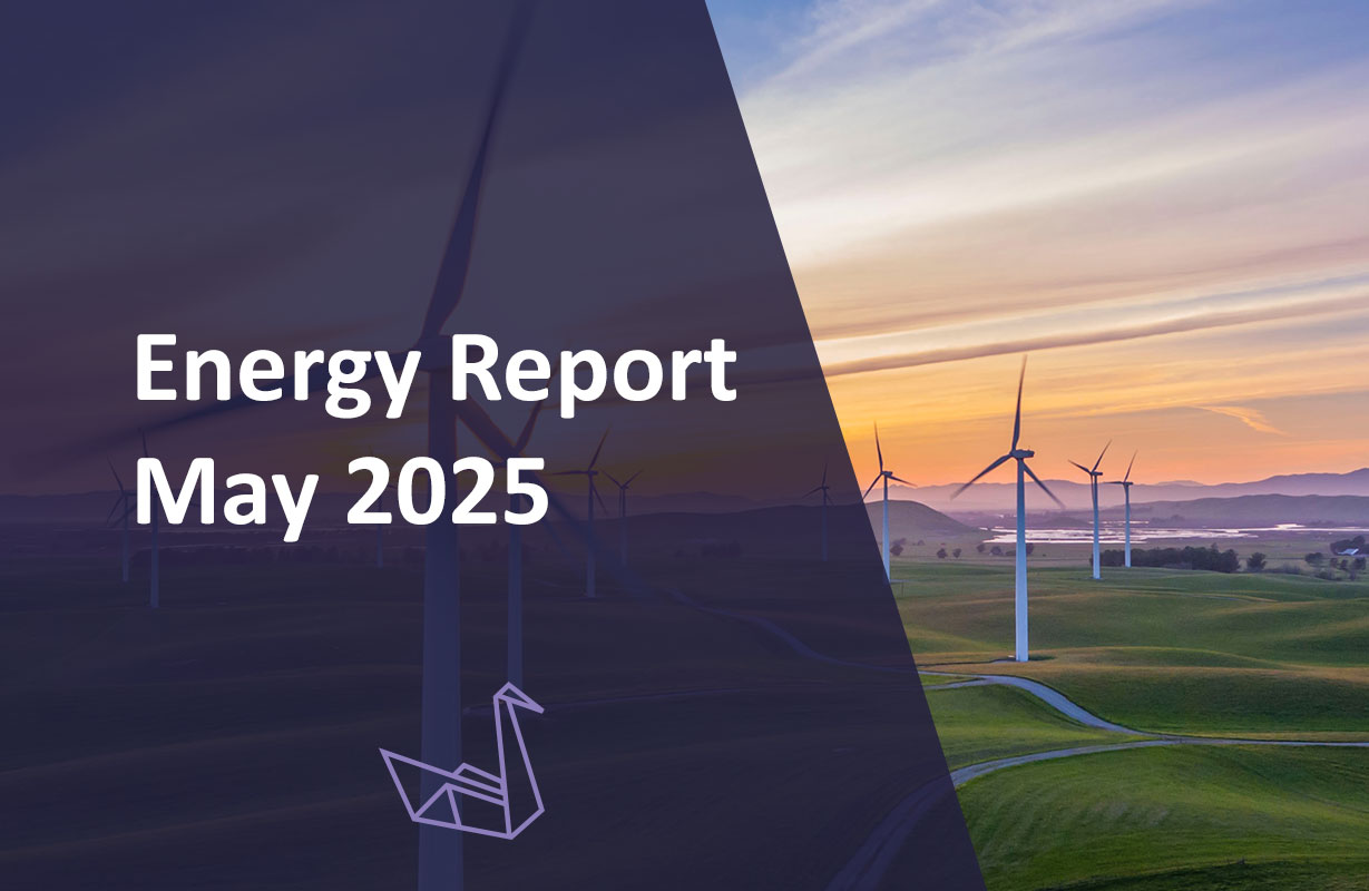 Energy Report May 2025