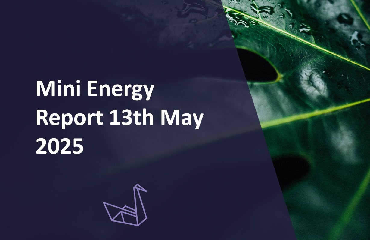 Mini Energy Report 13th May 2025