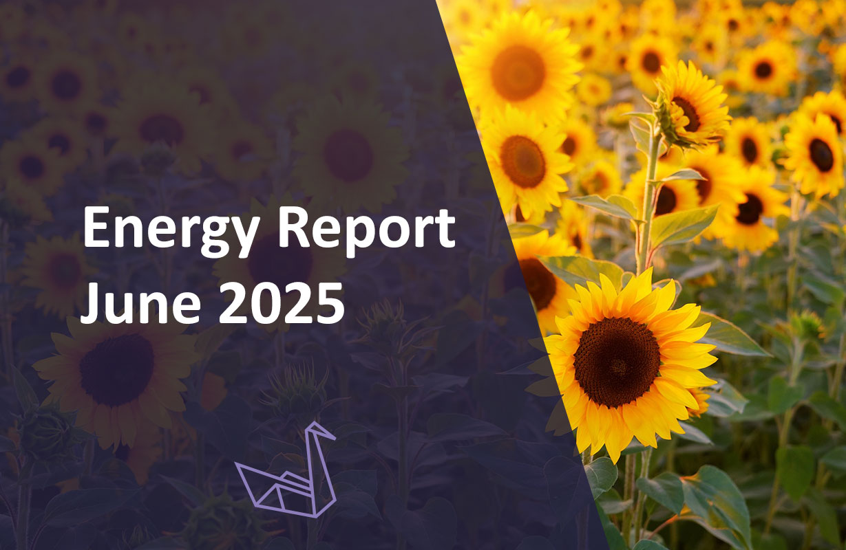 Energy Report June 2025