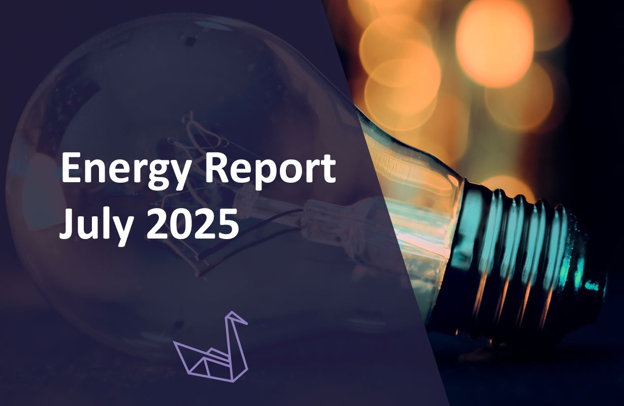Energy Report July 2025