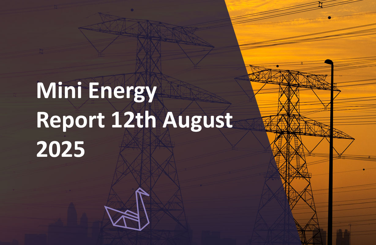 Mini Energy Report 12th August 2025